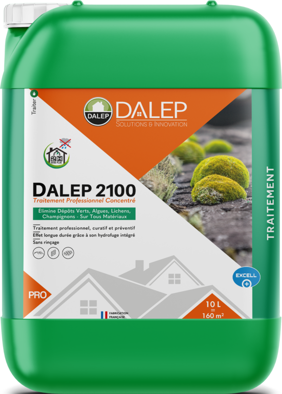 DALEP 2100 10L Traitement Professionnel Concentré