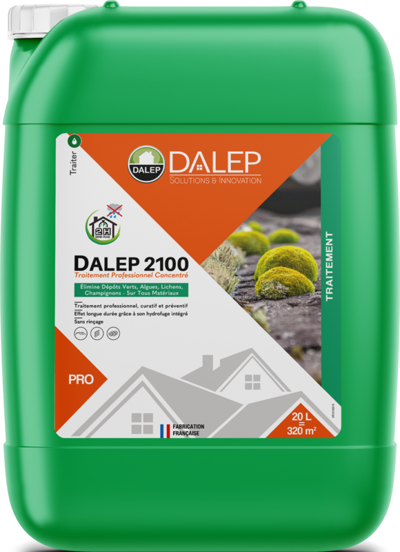 DALEP 2100 20L Traitement Professionnel Concentré